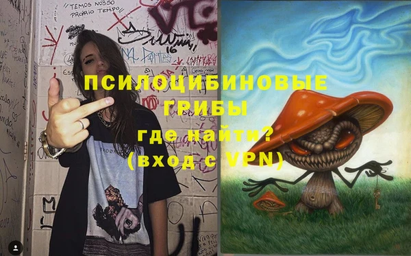 твердый Белокуриха